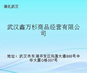 武汉鑫万杉与安徽万杉快洗 多元布局下的企业发展战略解析